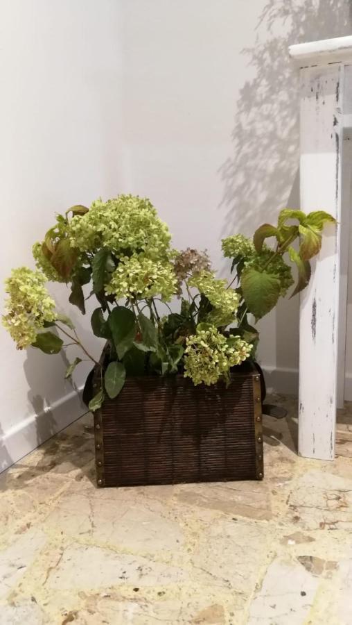 Bed and Breakfast Good Morning Shopping Serravalle Scrivia Exterior foto